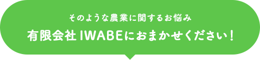 そのような農業に関するお悩み、有限会社 IWABEにおまかせください！